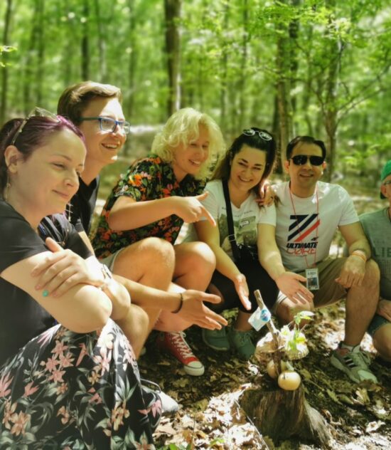 “Virtual Tools for Real Mobilities” in Romania