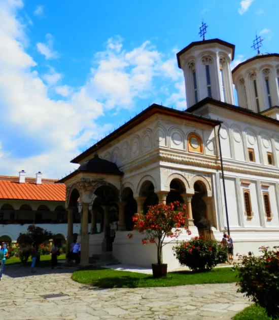 “Opportunities: Involvement, Responsibility, Inclusion” in Romania